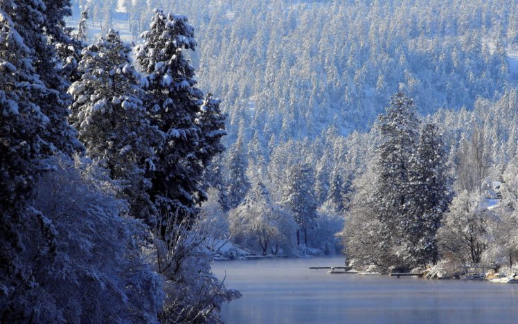 river, Winter, Trees, Forest, Landscape HD Wallpaper Desktop Background