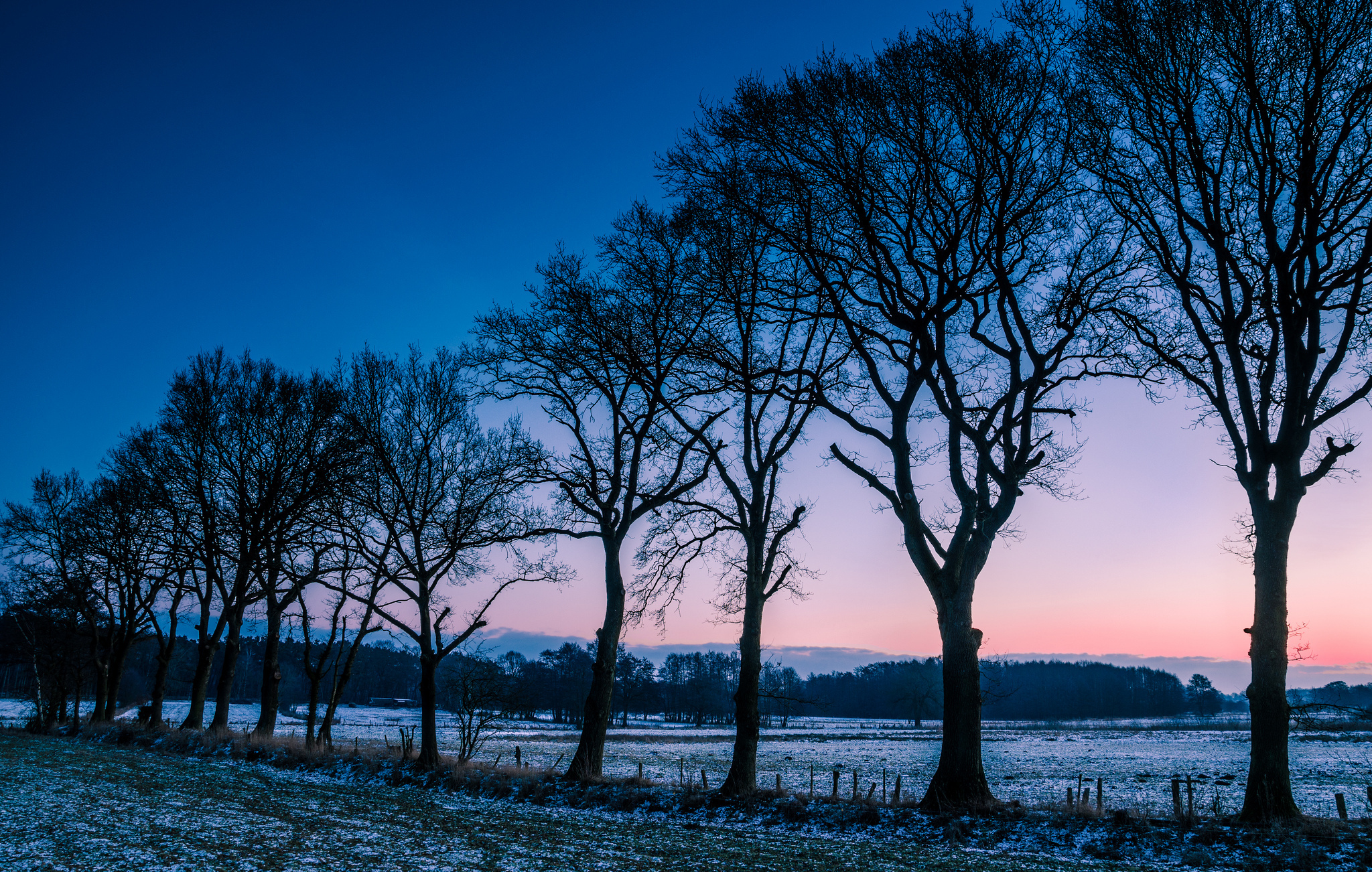 winter, Frost, Trees, Field, Morning, Norway Wallpaper