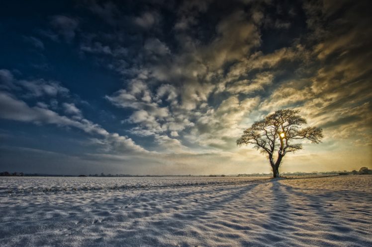 yorkshire, England, Snow, Tree, Sunrise, Clouds, Winter HD Wallpaper Desktop Background
