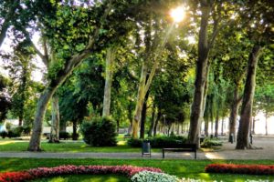 balaton, Balatonfured, Gardens, And, Parks, Hungary, Summer
