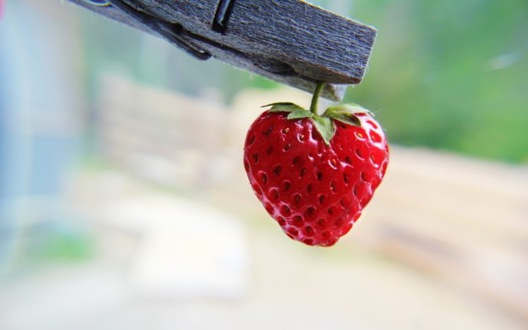 strawberry, Heart shaped HD Wallpaper Desktop Background