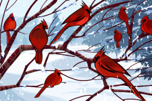 birds, Cardinal, Artwork, Northern, Cardinal
