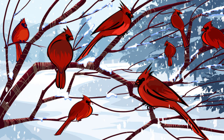 birds, Cardinal, Artwork, Northern, Cardinal HD Wallpaper Desktop Background