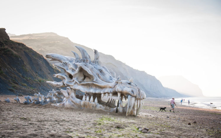 game, Of, Thrones, Dragon, Skull, Skeleton, Bones, Beach, Fantasy, Dragons HD Wallpaper Desktop Background