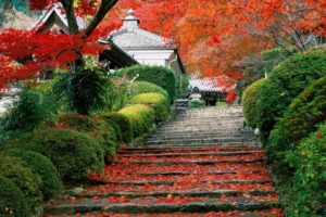 japan, Garden, Kyoto, Autumn, Fall