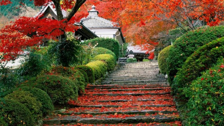 japan, Garden, Kyoto, Autumn, Fall HD Wallpaper Desktop Background