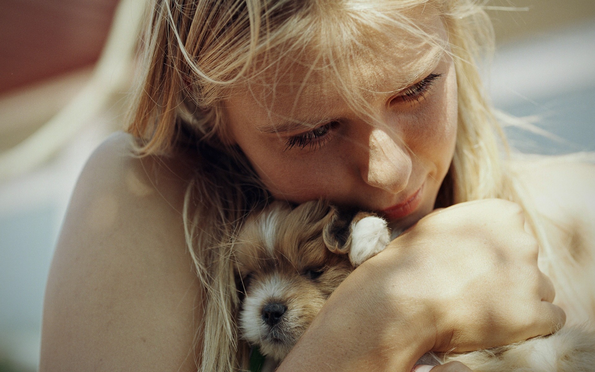 blondes, Women, Animals, Dogs, Puppies, Maria, Sharapova, Tennis, Cuddling, Portraits Wallpaper