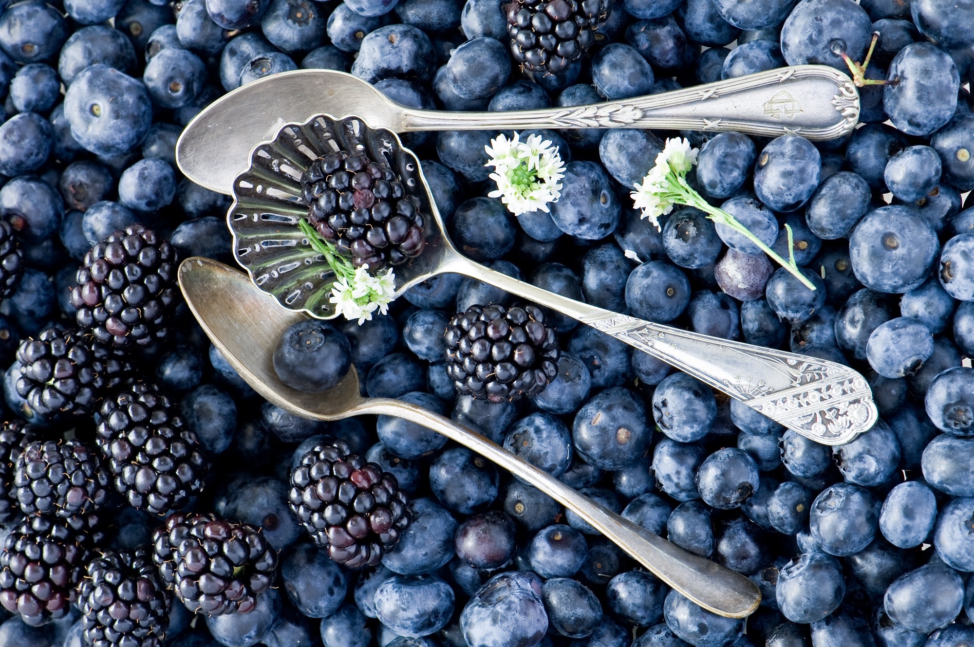 berries, Blueberries, Blackberries, Spoons, Flowers, Bokeh Wallpaper