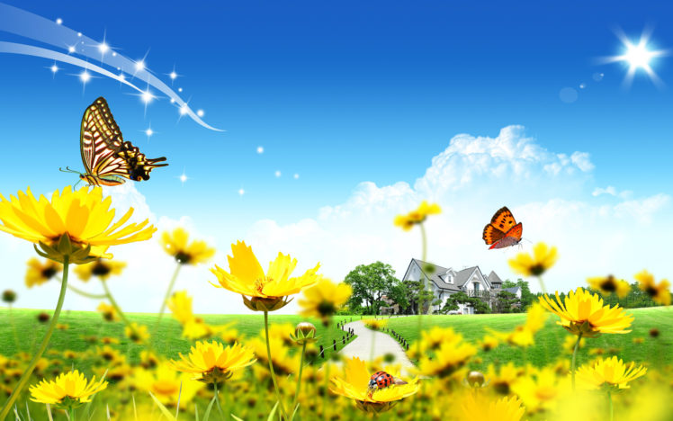 butterflies, Flowers, 3d HD Wallpaper Desktop Background