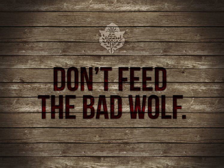 feed, Wolf, Wood HD Wallpaper Desktop Background