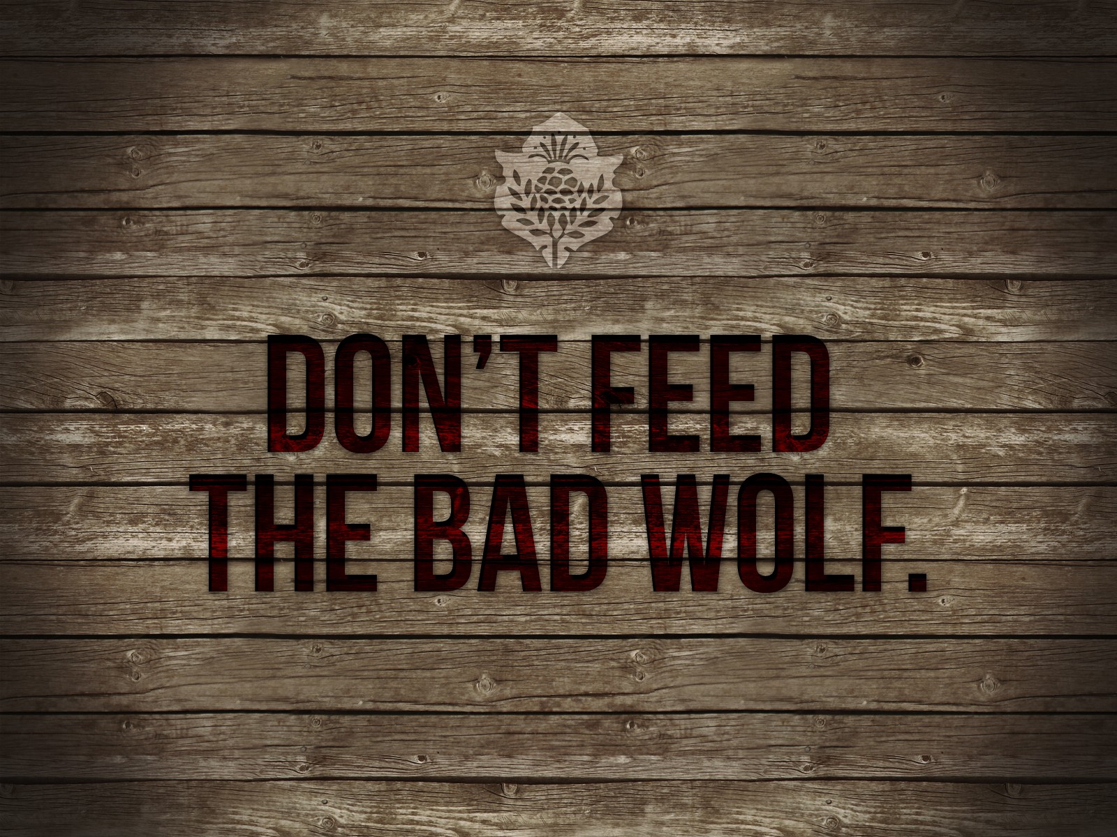 feed, Wolf, Wood Wallpaper