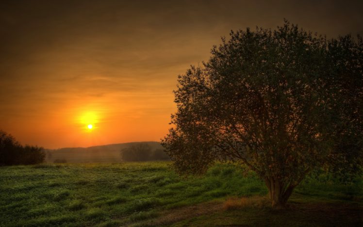 sunset, Landscapes, Nature, Trees, Fields, Skyscapes HD Wallpaper Desktop Background
