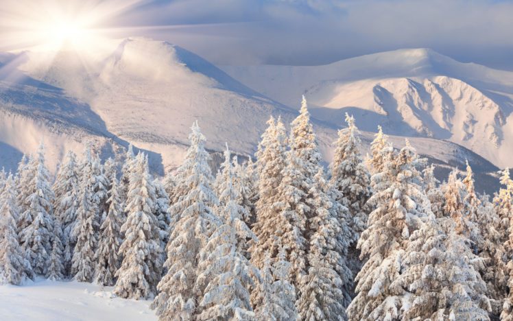 hill, Dawn, Hills, Sun, Forest, Snow, Winter HD Wallpaper Desktop Background