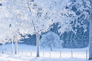 nature, Snow, White, World, Germany, Bavaria, Winter