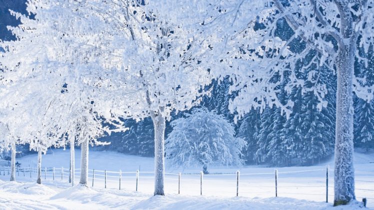 nature, Snow, White, World, Germany, Bavaria, Winter HD Wallpaper Desktop Background