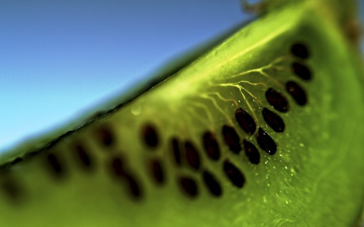 nature, Fruits, Kiwi, Macro, Depth, Of, Field HD Wallpaper Desktop Background
