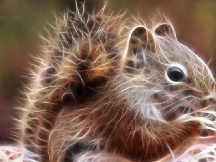 squirrels, Chipmunks, Chipmunk, Squirrel, Fractal HD Wallpaper Desktop Background