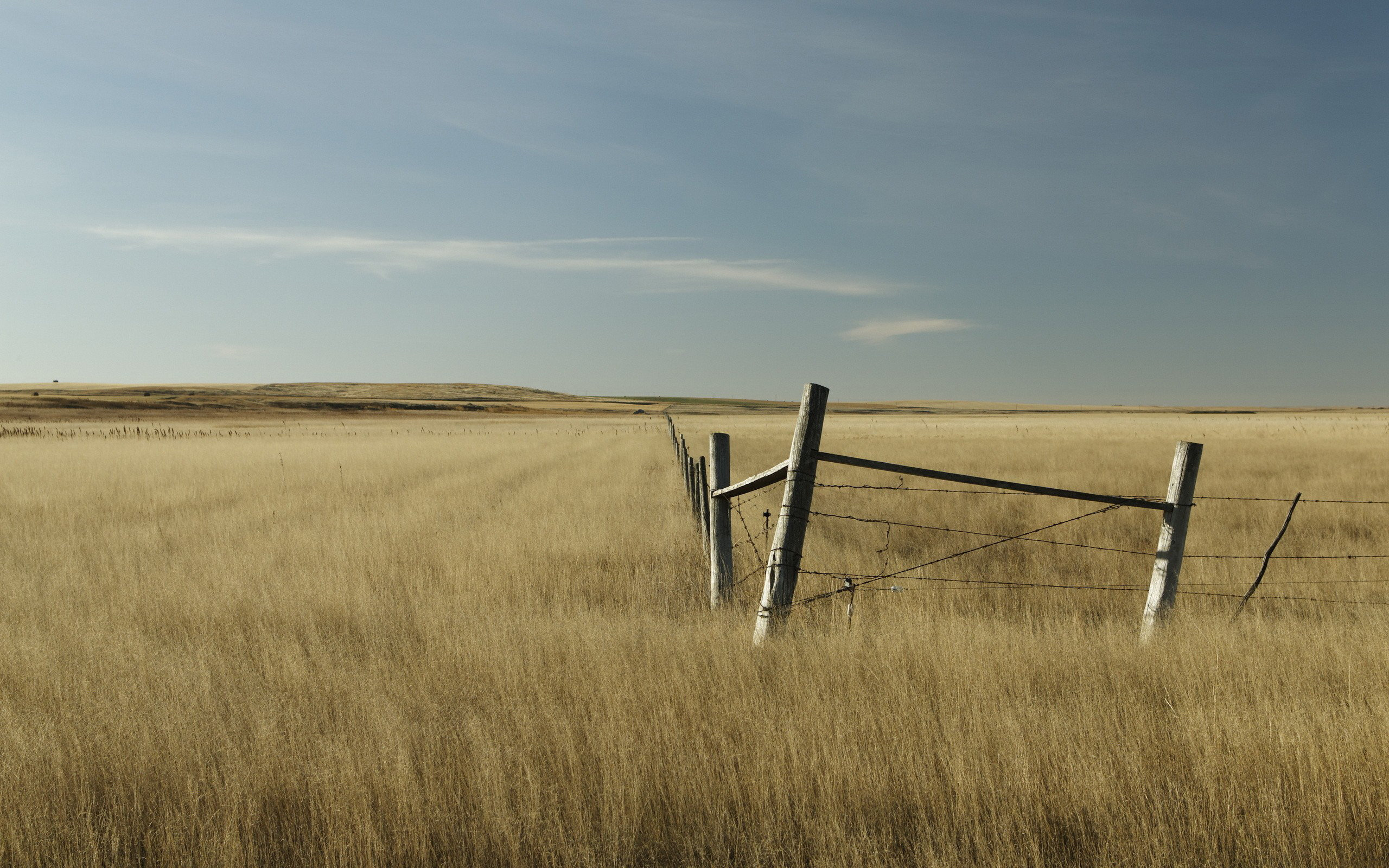 fence, In, The, Field Wallpaper