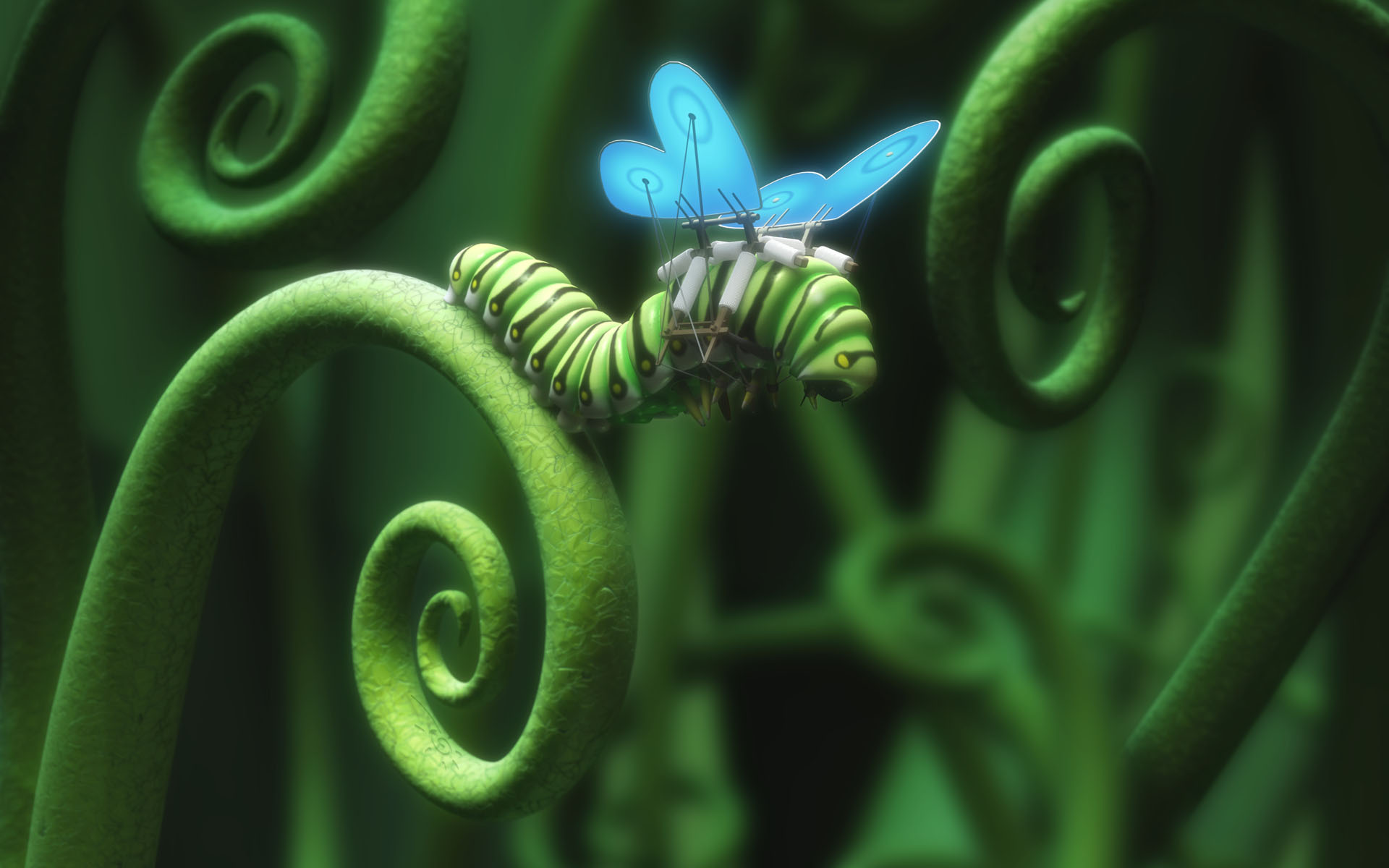 wings, Butterfly, Caterpillars Wallpaper