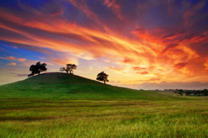 sunset, Spring, May, Sky, Clouds, Field, Grass, Trees