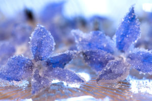 close up, Crystal, Ice, Frost, Petals, Water, Flower, Bokeh