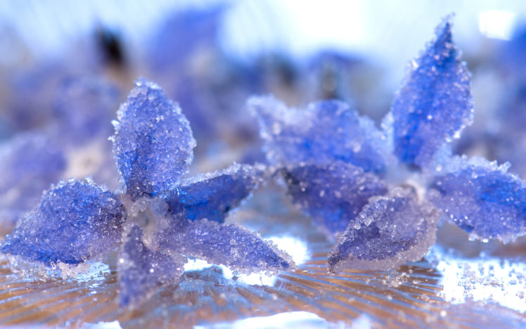 close up, Crystal, Ice, Frost, Petals, Water, Flower, Bokeh HD Wallpaper Desktop Background