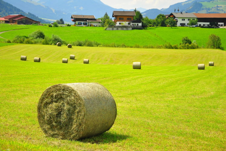 austria, Field, Hay, House, Landscape HD Wallpaper Desktop Background