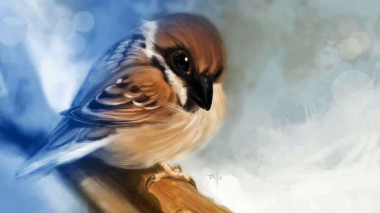 bird, Drawing HD Wallpaper Desktop Background