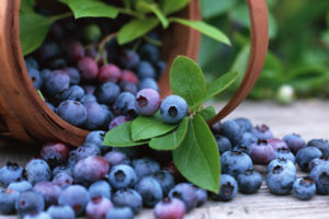 fruits, Blueberries