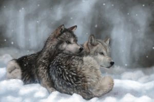 wolves, Painting, Art, Wolf, Winter, Snow