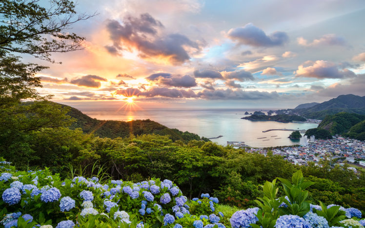 sunlight, Sunset, Clouds, Ocean, Flowers, Coast HD Wallpaper Desktop Background
