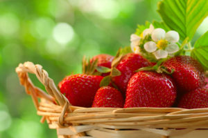 fruit, Strawberry, Food, Strawberries