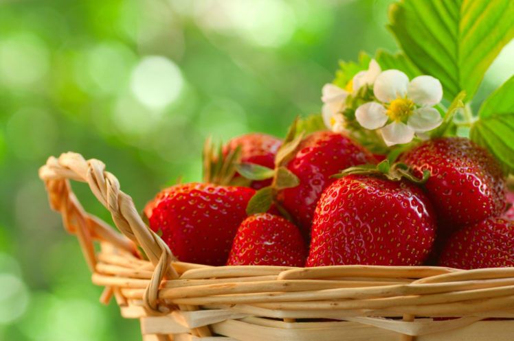 fruit, Strawberry, Food, Strawberries HD Wallpaper Desktop Background