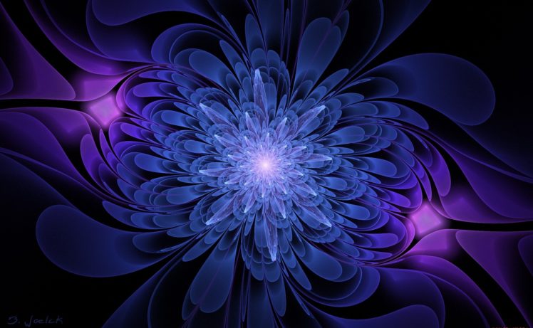 black, Background, Blue, And, Serenevy, Color, Graphics, Flower HD Wallpaper Desktop Background