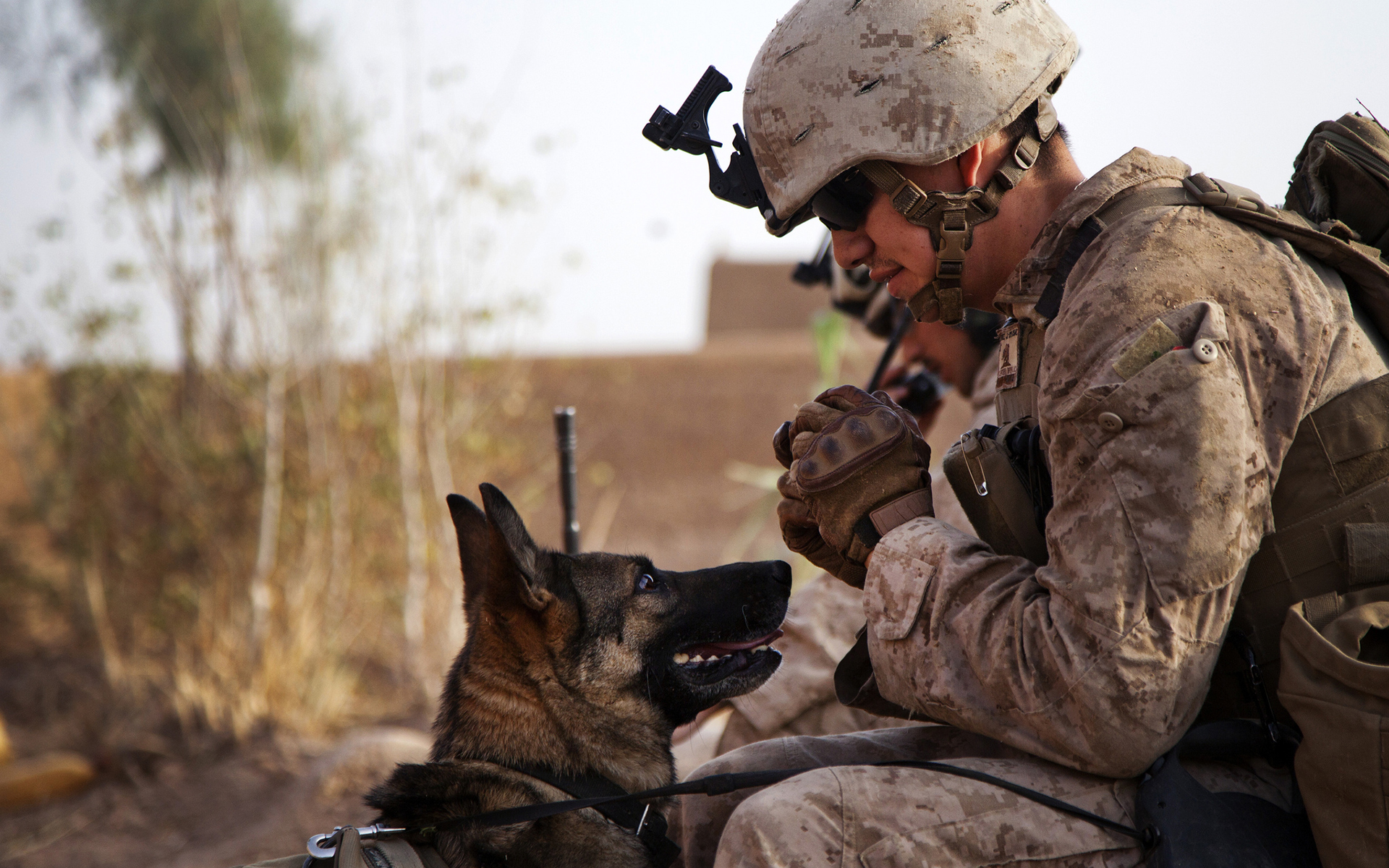 soldier, Dog, Mood, Military, People, Friend, Warrior, Warriors Wallpaper