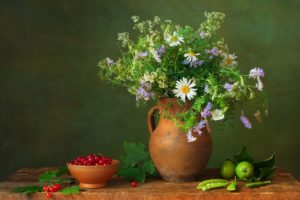 camomiles, Jug, Container, Flowers