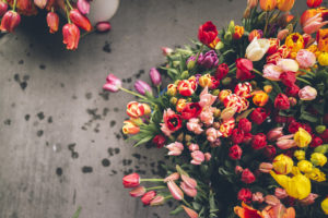 tulips, Bouquet, Flowers