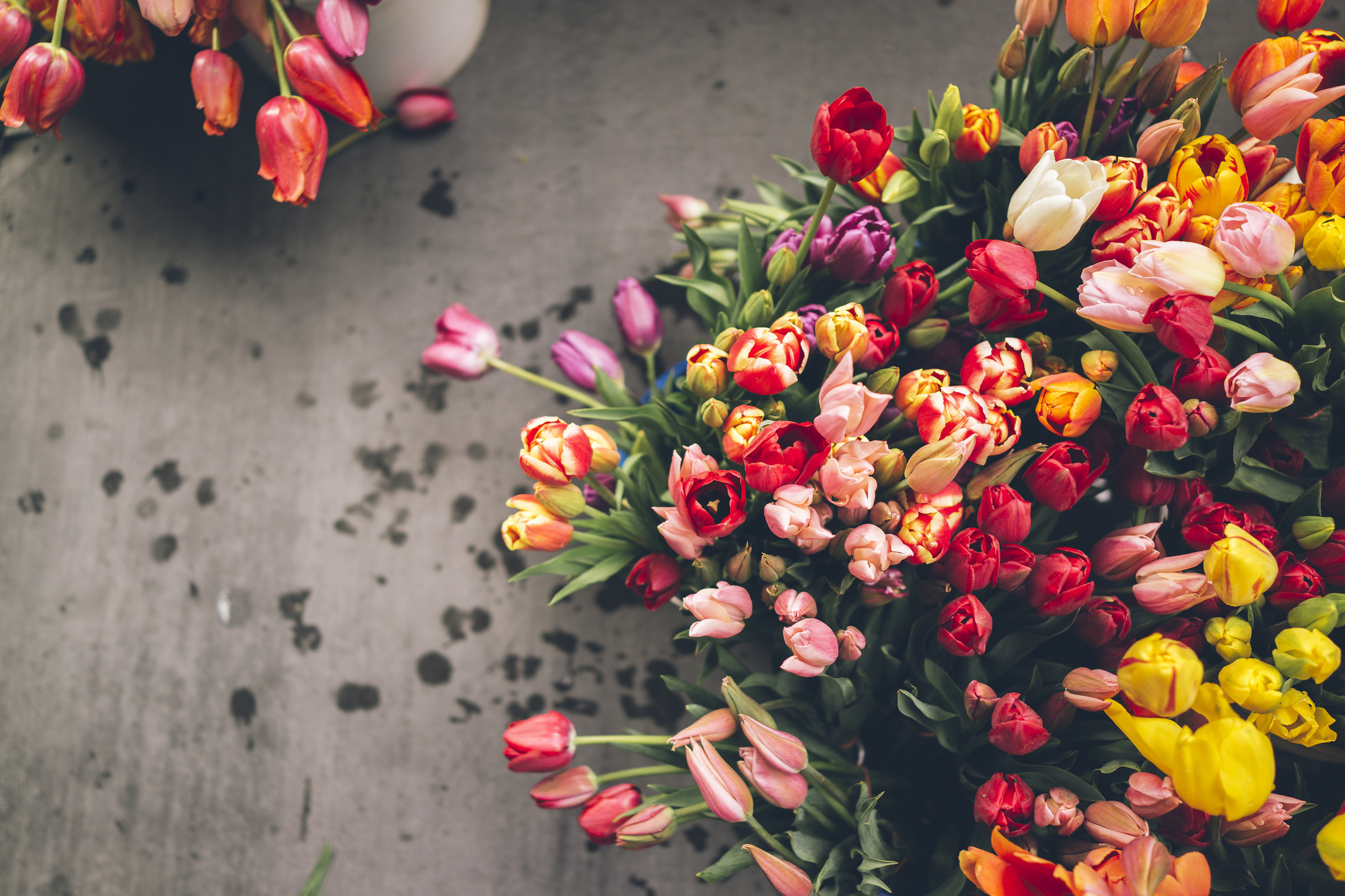 tulips, Bouquet, Flowers Wallpaper