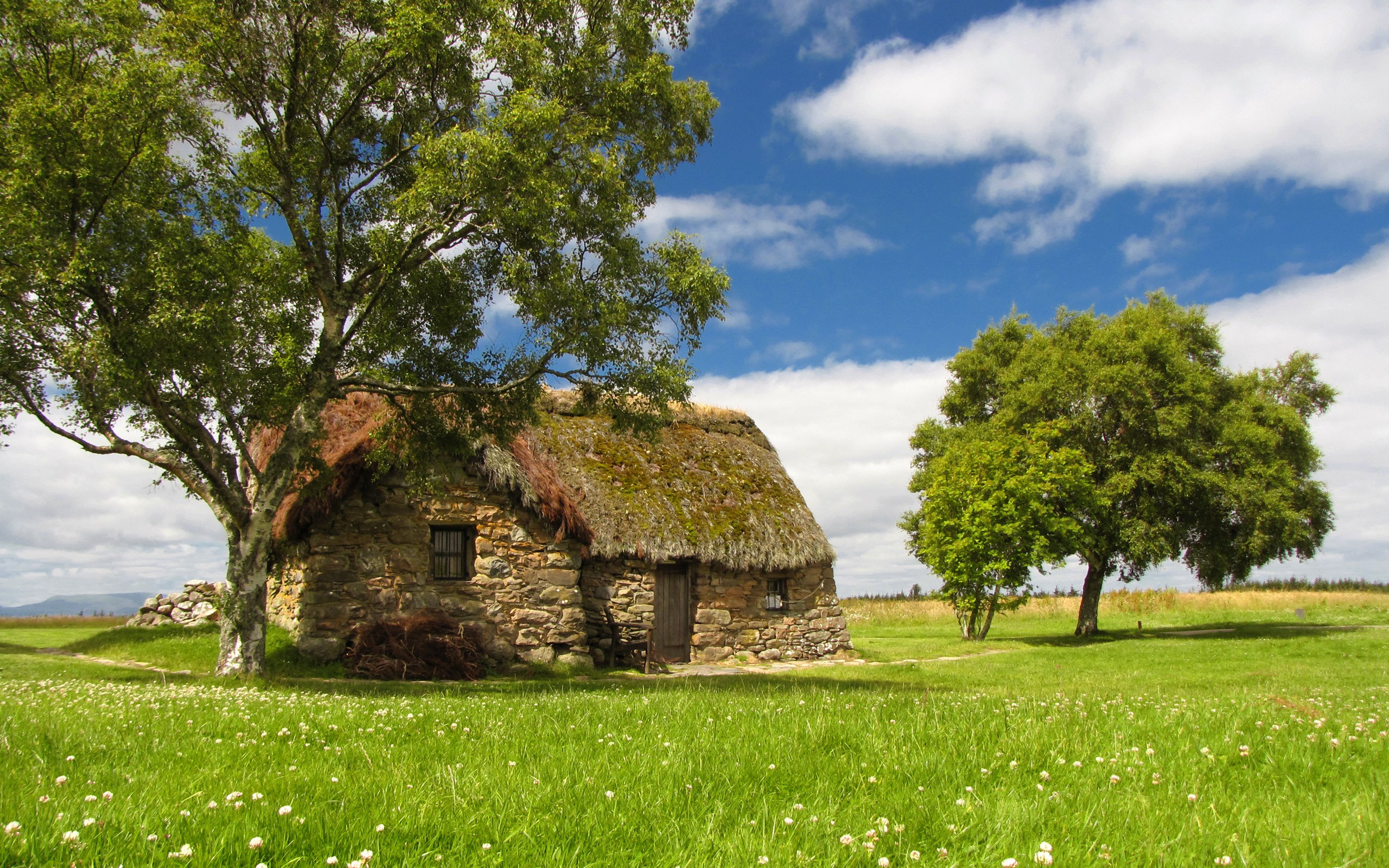 cottage, Field Wallpaper