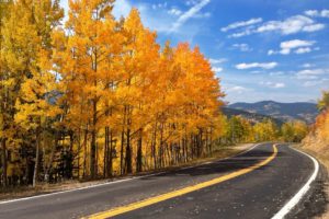 autumn, Road, Trees, Nature