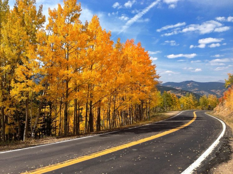 autumn, Road, Trees, Nature HD Wallpaper Desktop Background