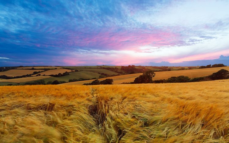 england, Landscape, Field, Sunset HD Wallpaper Desktop Background
