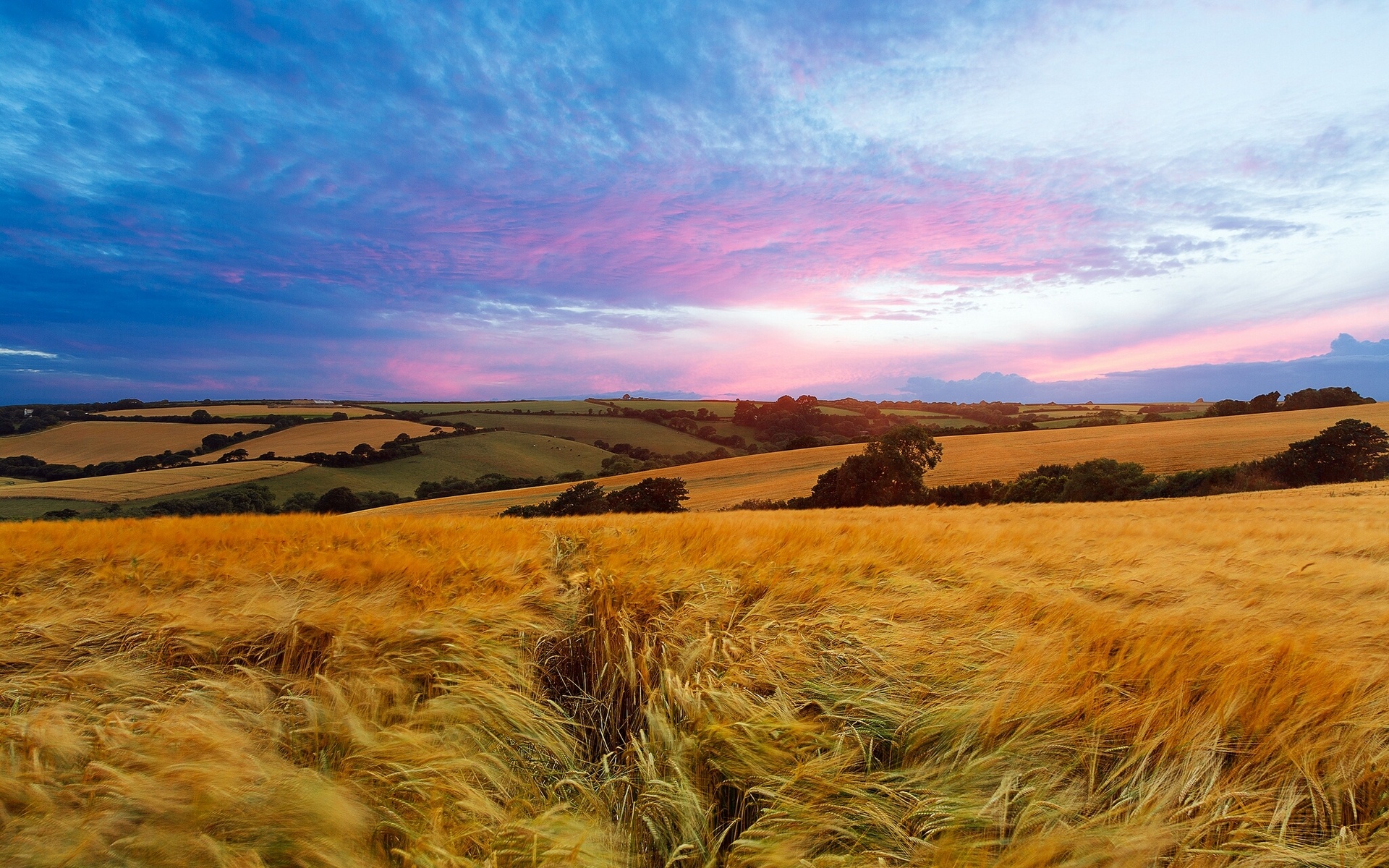england, Landscape, Field, Sunset Wallpaper