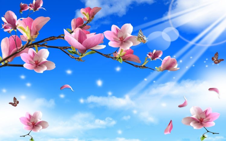 flowers, Butterflies, Nature, Twigs, Butterfly HD Wallpaper Desktop Background
