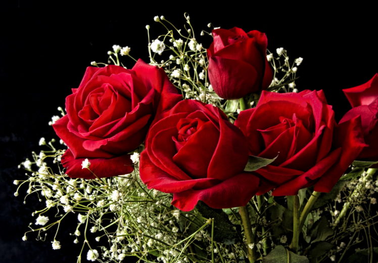 roses, Red, Flowers, Bouquet HD Wallpaper Desktop Background