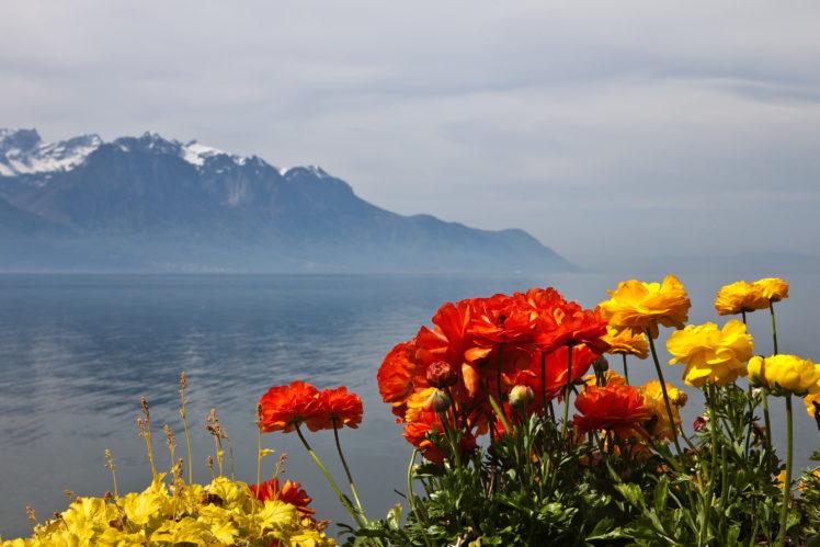 scenery, Switzerland, Mountains, Montreux, Nature, Flowers HD Wallpaper Desktop Background