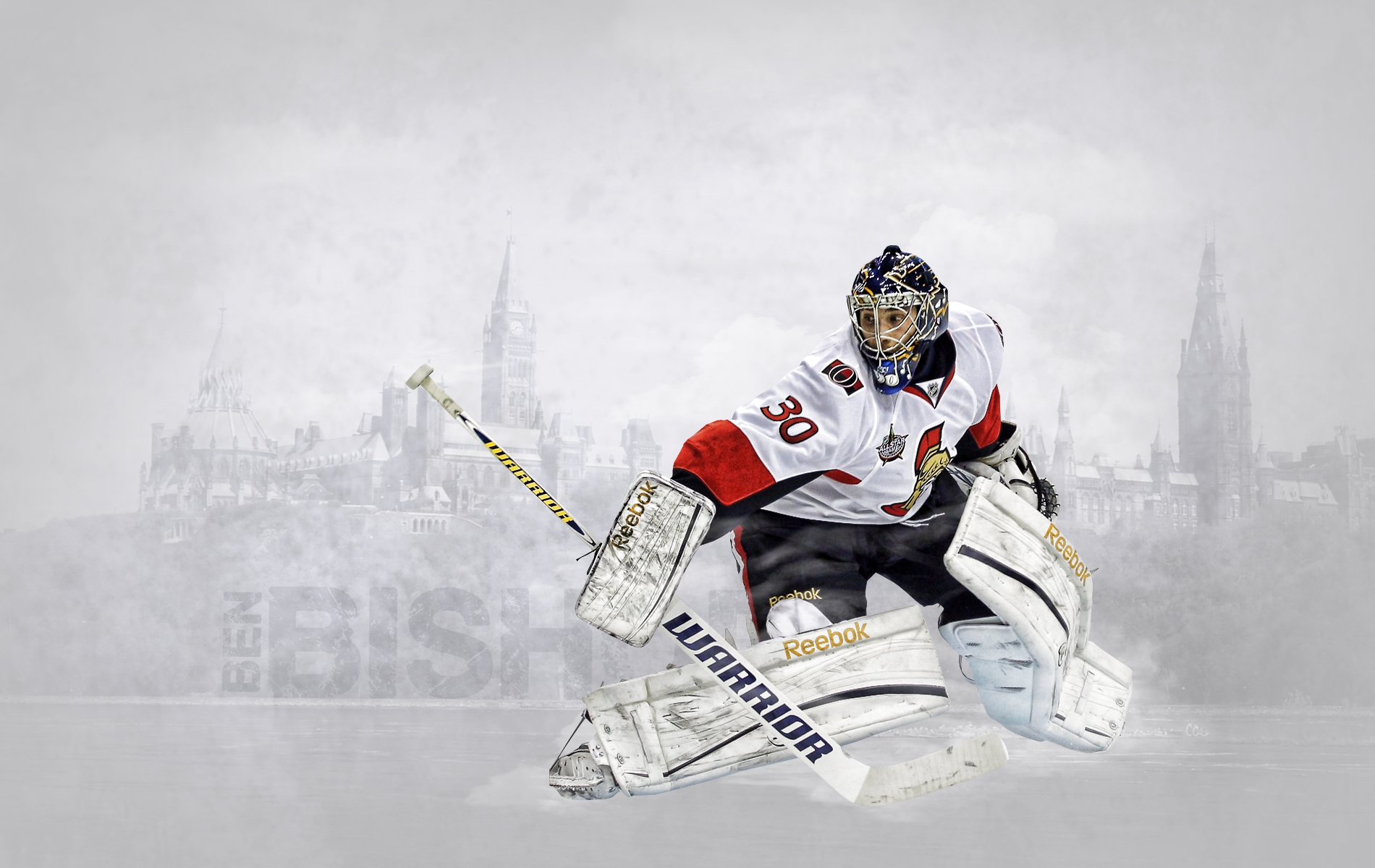 hockey, Ben, Bishop, Ottawa, Senators Wallpaper