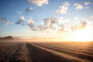 field, Morning, Landscape, Sunrise, Fog