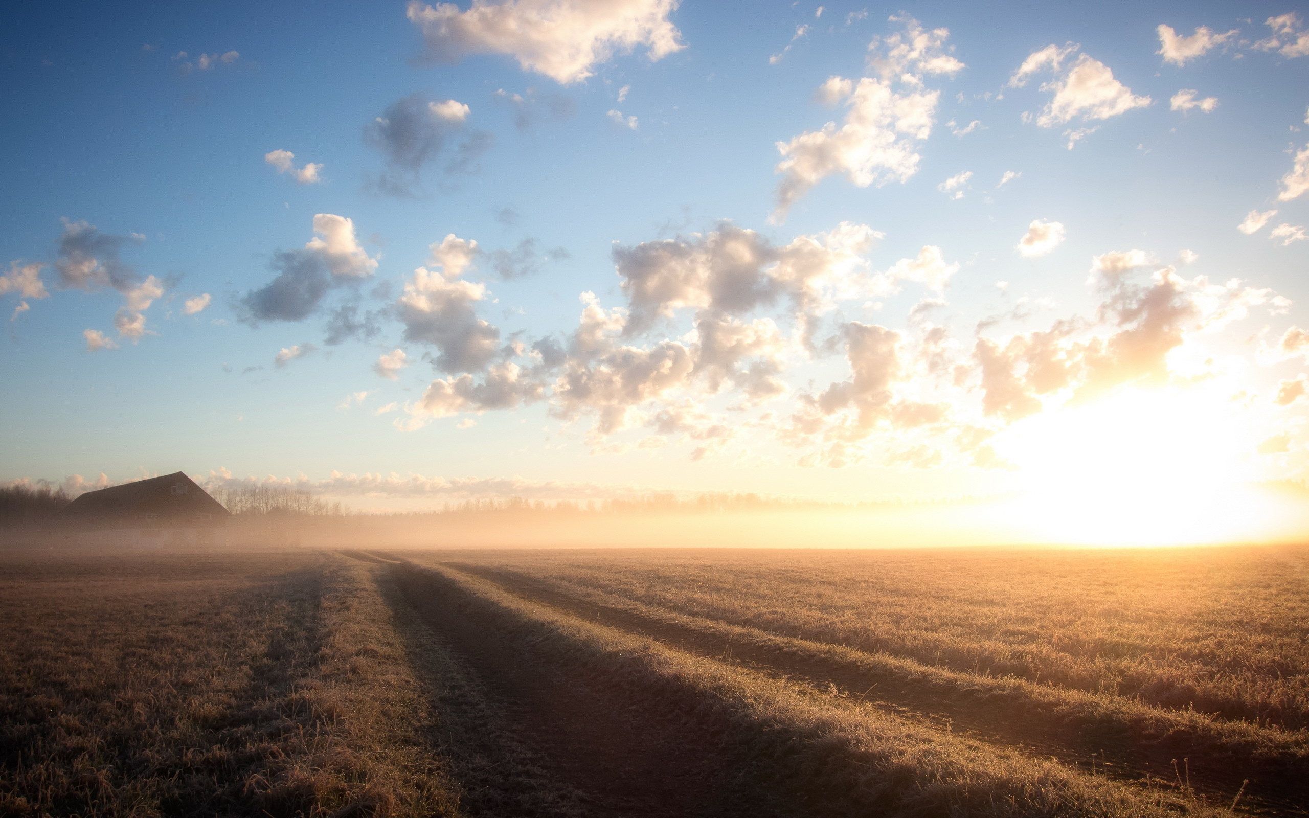 field, Morning, Landscape, Sunrise, Fog Wallpaper