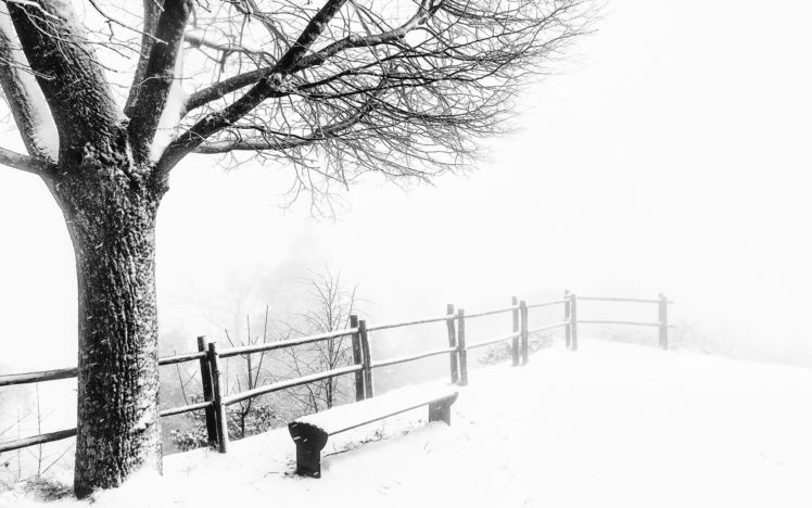 winter, Tree, Bench, Snow HD Wallpaper Desktop Background